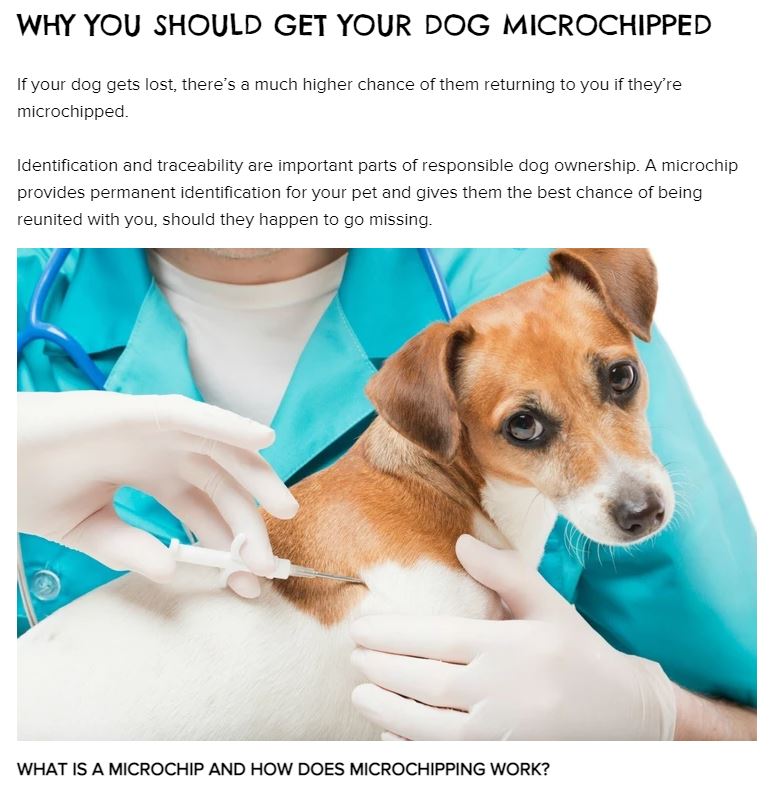 WHY YOU SHOULD GET YOUR DOG MICROCHIPPED